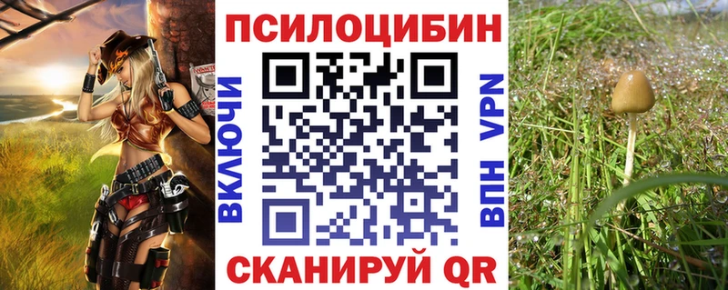 Псилоцибиновые грибы Cubensis  Артёмовский 